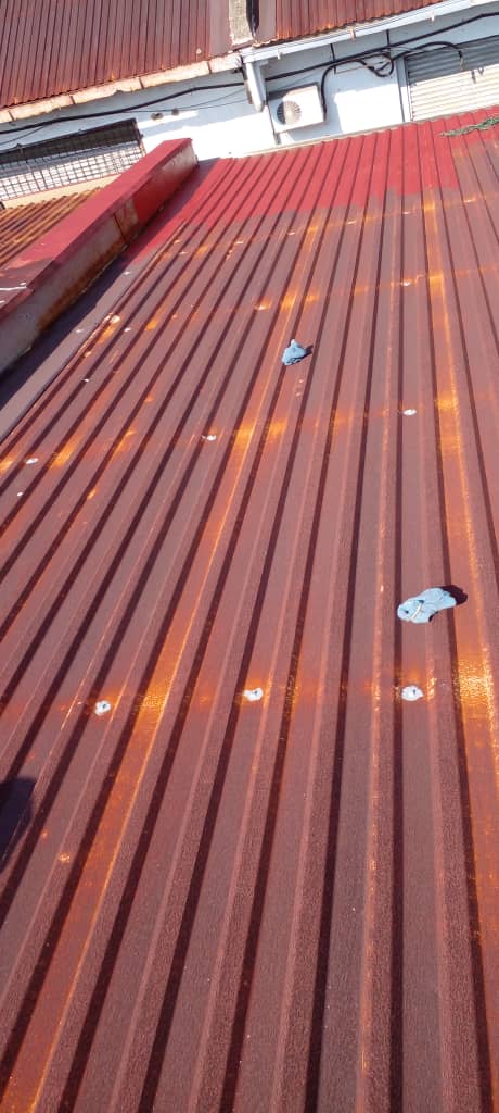 Roof Coating Services