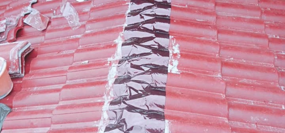 WhatsApp Image 2024-03-21 at 6.08.58 PM (1)